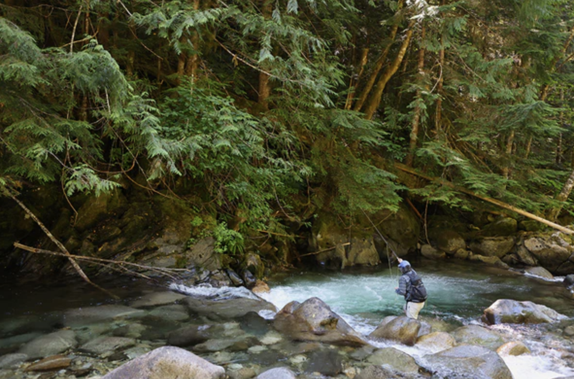 Snoqualmie Forks & Mountain Streams | Native Trout